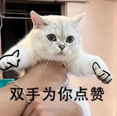 利博游戏官网(中国游)有限公司官网