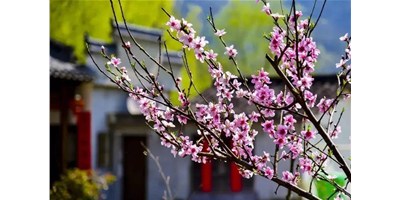 阳春三月，利博游戏官网精机一大波展会即未来袭，您准备好了吗？？